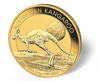 Picture of 2016 1/4 oz Australian Gold Kangaroo