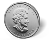 2012 1 oz canadian silver cougar predator series $5 dollar silver coin, silver bullion, silver coin, silver bullion coin