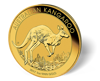 Picture of 1 oz Australian Gold Kangaroo  - 2017 