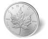 Picture of 1 oz Canadian Palladium Maple Leaf  (Random Year, Varied Condition)
