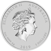 silver bullion, silver coin, 2019 2 oz australian silver lunar pig coin