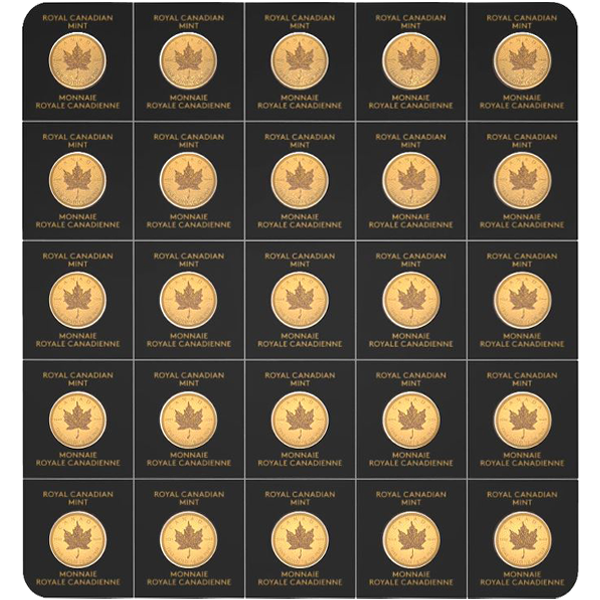 2019 25 gram canadian gold maplegram, 25 x 1 gram, w/ assay, random year, gold bullion, gold coin, gold bullion coin