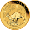 Picture of 2019 1 oz Australian Gold Kangaroo Coin