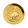 Picture of 2019 1/2 oz Australian Gold Kangaroo Coin