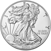 Picture of 2020 1 oz American Silver Eagle Coin