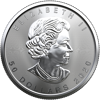 Picture of 2020 1 oz Canadian Platinum Maple Leaf