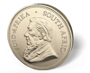 Picture of 2021 1 oz South African Gold Krugerrand Coin
