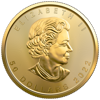 2022 1 oz canadian gold maple leaf coin, gold bullion, gold coin