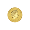 1/10 oz australian gold kangaroo coin, random year, gold bullion, gold coin, gold bullion coin