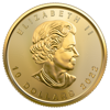 2022 1/4 oz canadian gold maple leaf coin, gold bullion, gold coin, gold bullion coin