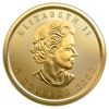 2022 1/10 oz canadian gold maple leaf coin, gold bullion, gold coin, gold bullion coin
