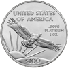 2022 1 oz american platinum eagle coin, platinum bullion, platinum coin, platinum bullion coin