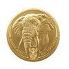 2022 south africa 1 oz gold big five elephant, random year, gold bullion, gold coin, gold bullion coin