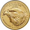 Picture of 2023 1 oz American Gold Eagle Coin (BU)